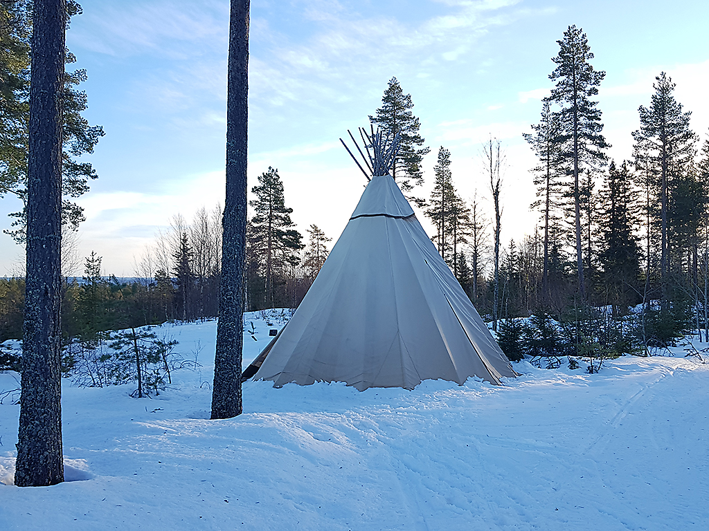 Hyra t�ltk�ta i Bjurs�s